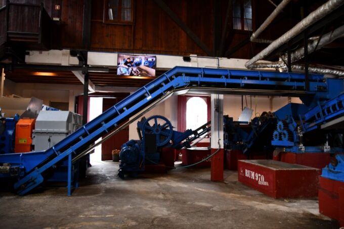 Poncha Tasting by Overland Madeira - Sugar Cane Exploration