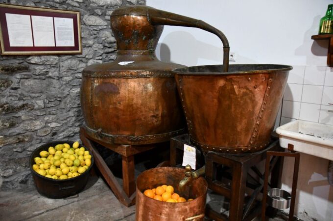 Poncha Tasting by Overland Madeira - Poncha Tasting Experience