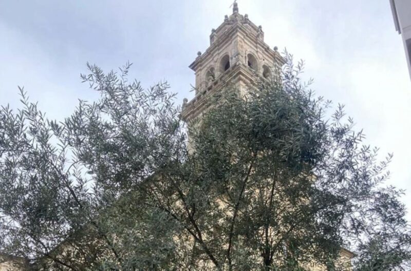 Ponferrada: Mysteries and Legends Guided Walking Tour - Key Points
