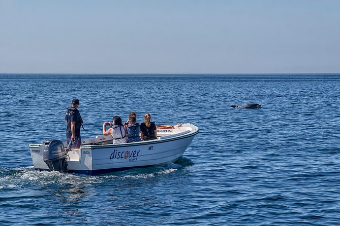 Ponta Da Piedade Boat Tour to Caves and Beaches With Local Guide - Stories and History From the Guide