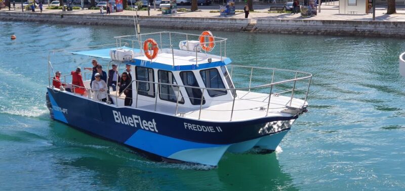 Ponta Da Piedade: Half-Day Cruise With Lunch From Lagos - Pricing Details