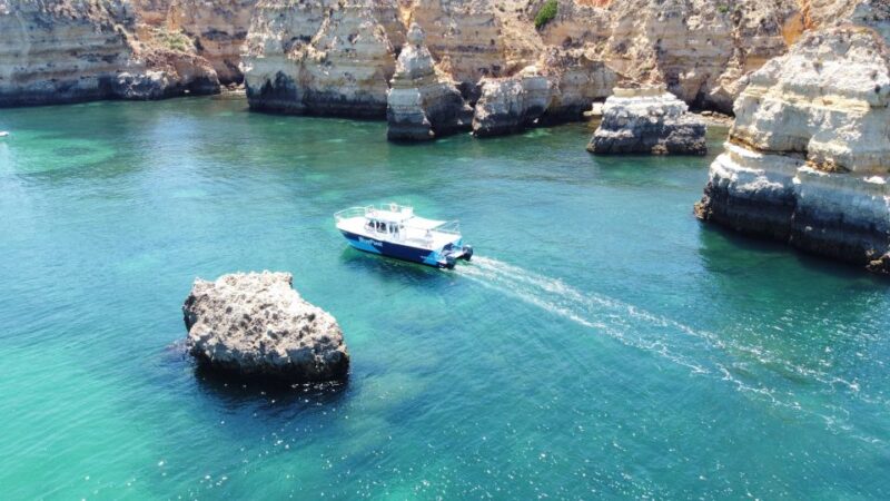 Ponta Da Piedade: Half-Day Cruise With Lunch From Lagos - Pricing Details
