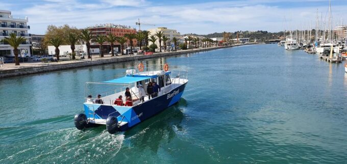 Ponta Da Piedade: Half-Day Cruise With Lunch From Lagos - Frequently Asked Questions