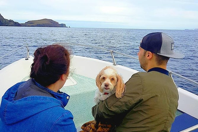 Ponta De São Lourenço Boat Tour - Swimming Opportunity