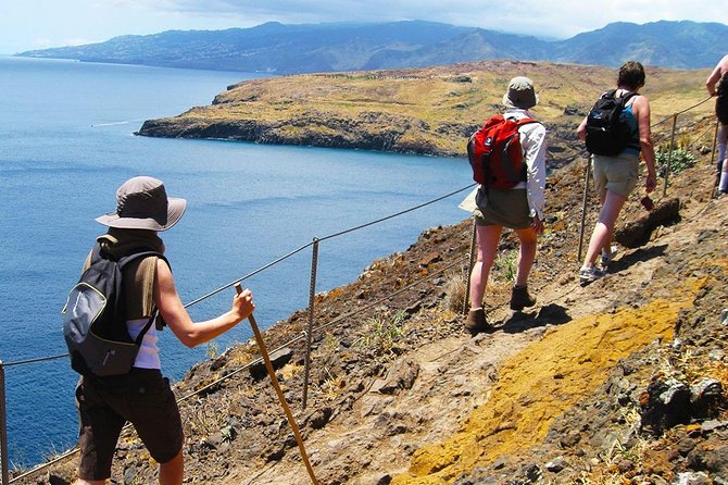 Ponta De São Lourenço Trail Walking Tour - Evergreen Paths and Panoramic Views