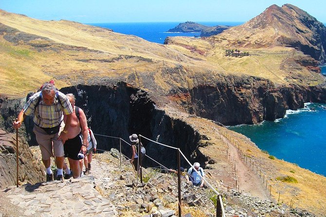 Ponta De São Lourenço Trail Walking Tour - Customer Testimonials and Experiences