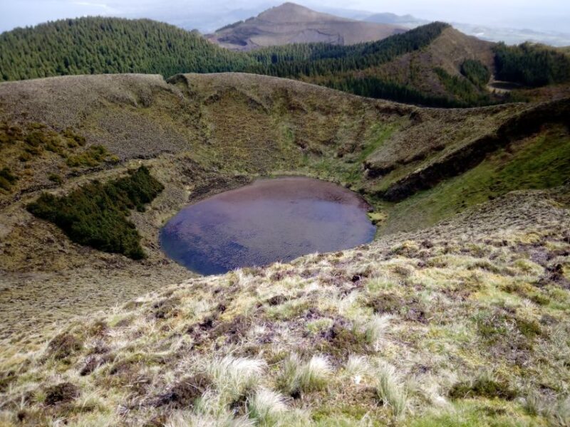 Ponta Delgada: 2-Hour Guided Walk Along the Serra Devassa - Participant Ratings and Feedback