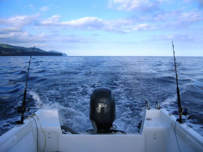 Ponta Delgada: 4-hour Half-Day Sport Fishing Adventure - Value for Money