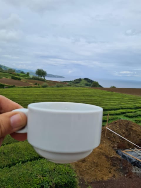 Ponta Delgada: Beauties of São Miguel Island Private Tour - Itinerary Highlights