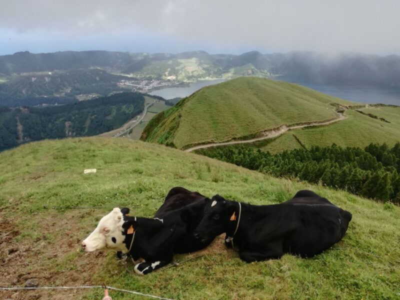 Ponta Delgada: Full-Day Sete Cidades 4X4 Tour With Lunch - What to Bring