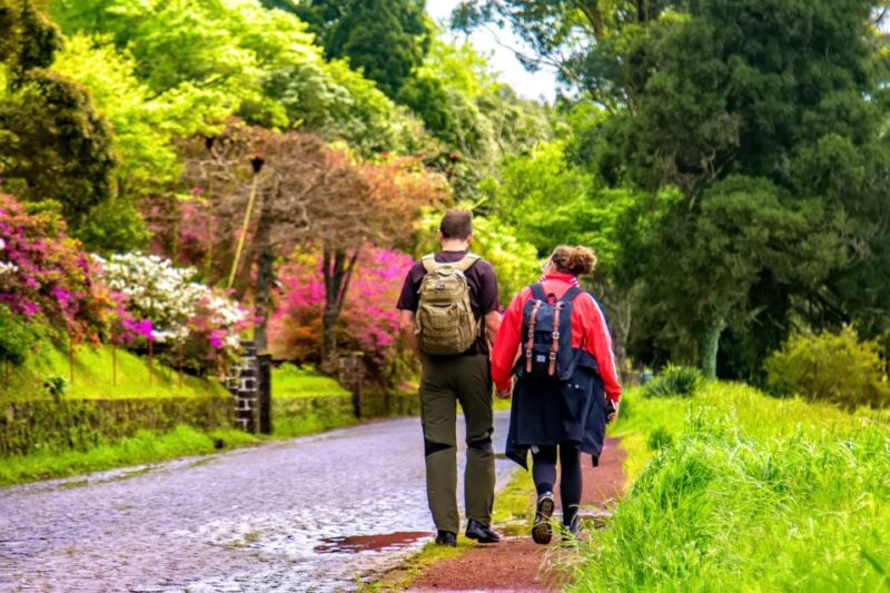 Ponta Delgada: Full-Day Van Tour to Furnas Valley - Itinerary Highlights