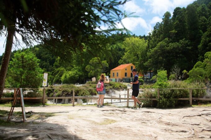 Ponta Delgada: Full-Day Van Tour to Furnas Valley - Terra Nostra Botanical Garden