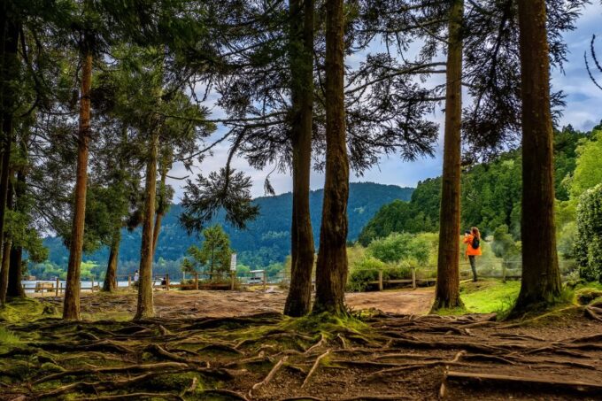 Ponta Delgada: Full-Day Van Tour to Furnas Valley - Frequently Asked Questions