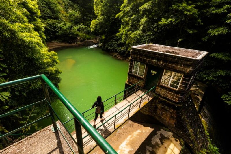 Ponta Delgada: Hidden Gems of São Miguel Full-Day Van Tour - Booking Information