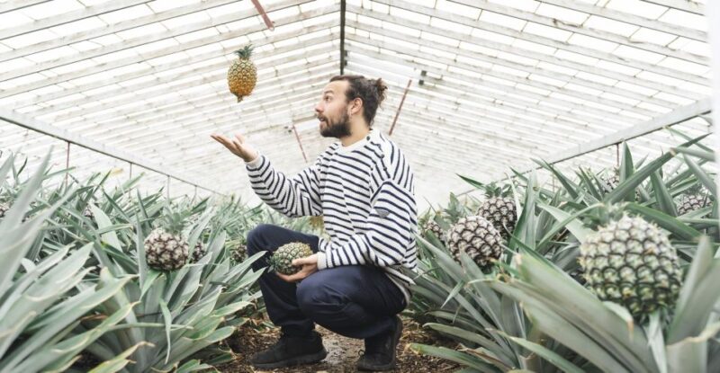 Ponta Delgada: Pineapple Wine Tasting and Pineapple Tour - Meeting Point and Directions