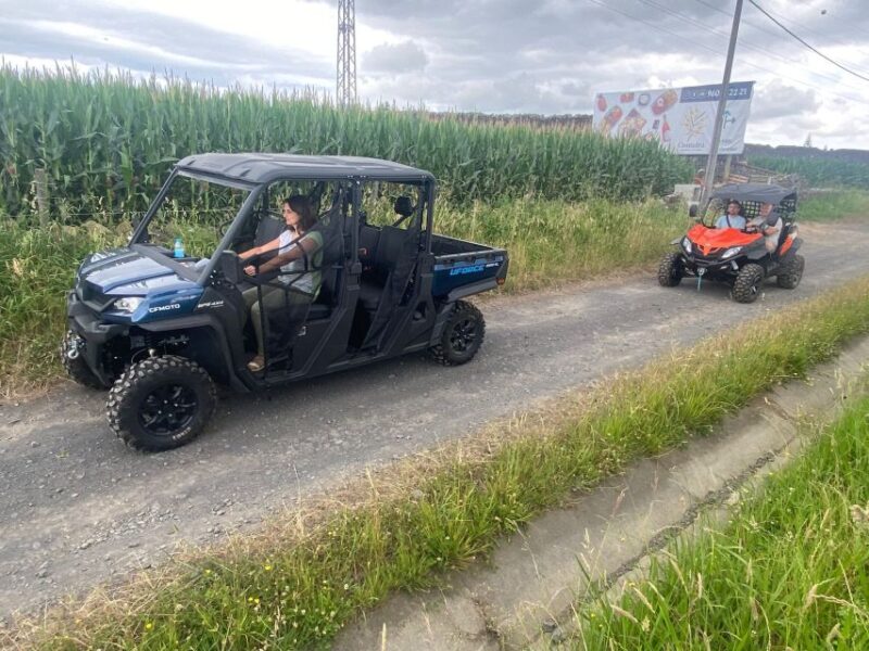 Ponta Delgada: São Miguel Buggy Tour Around Sete Cidades - Learning About Island History