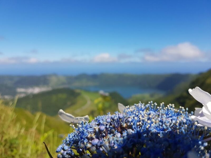 Ponta Delgada: Sete Cidades & Lake of Fire Tour - Exploring Sete Cidades