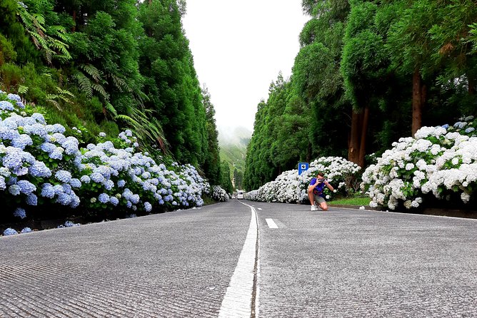 Ponta Delgada: Shore Excursion, Sete Cidades, Blue & Green Lake - Overview and Details