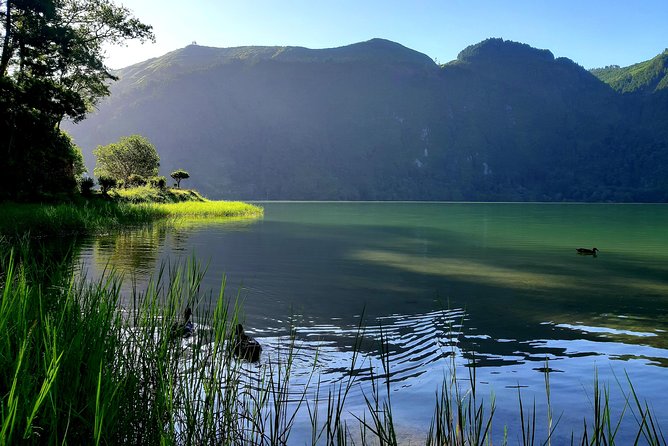 Ponta Delgada: Shore Excursion, Sete Cidades, Blue & Green Lake - Personalized Experience