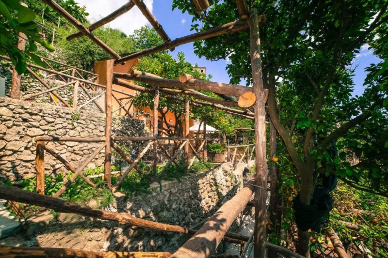 Pontone, Amalfi Coast: Walk in the Lemon Grove With Tasting - Key Points