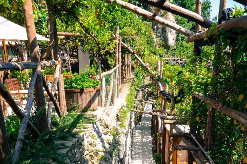 Pontone, Amalfi Coast: Walk in the Lemon Grove With Tasting - Experience Highlights