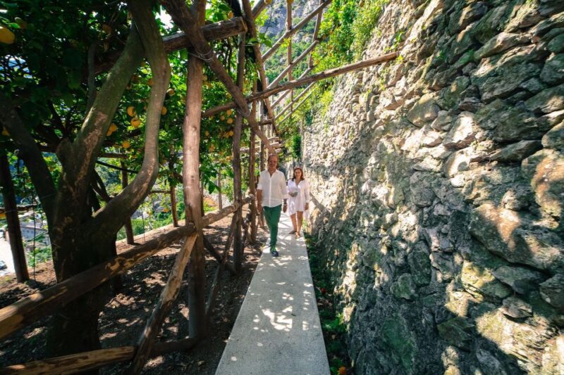 Pontone, Amalfi Coast: Walk in the Lemon Grove With Tasting - Whats Included