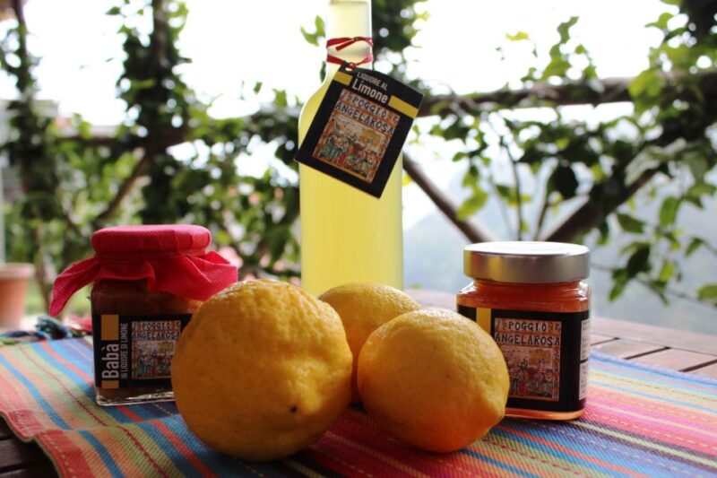 Pontone, Amalfi Coast: Walk in the Lemon Grove With Tasting - Exploring the Ruins
