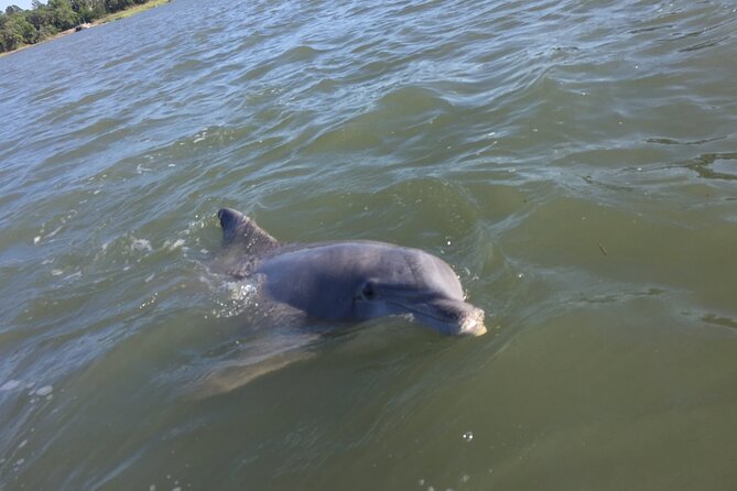 Pontoon Boat Rental in Hilton Head Island - Accessibility and Accommodations