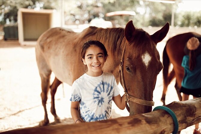 Pony Rides at North Shore Stables - Enchanting World of Horseback Riding