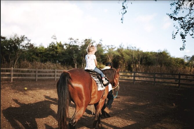 Pony Rides at North Shore Stables - Lasting Memories on the North Shore