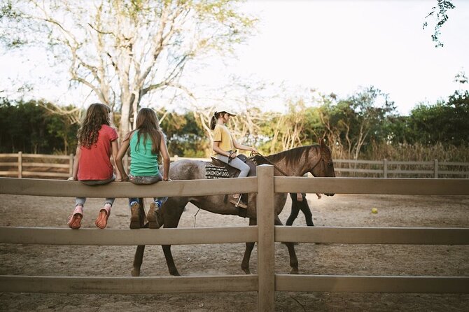 Pony Rides at North Shore Stables - Positive Customer Experiences and Feedback