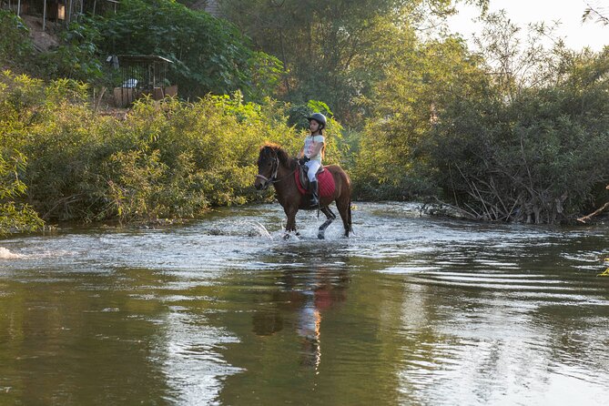 Pony Riding in Luang Prabang - Meeting Location and Details