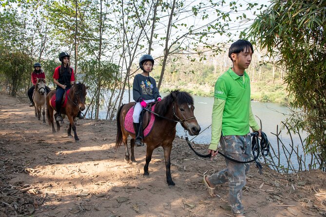 Pony Riding in Luang Prabang - Traveler Recommendations and Ratings
