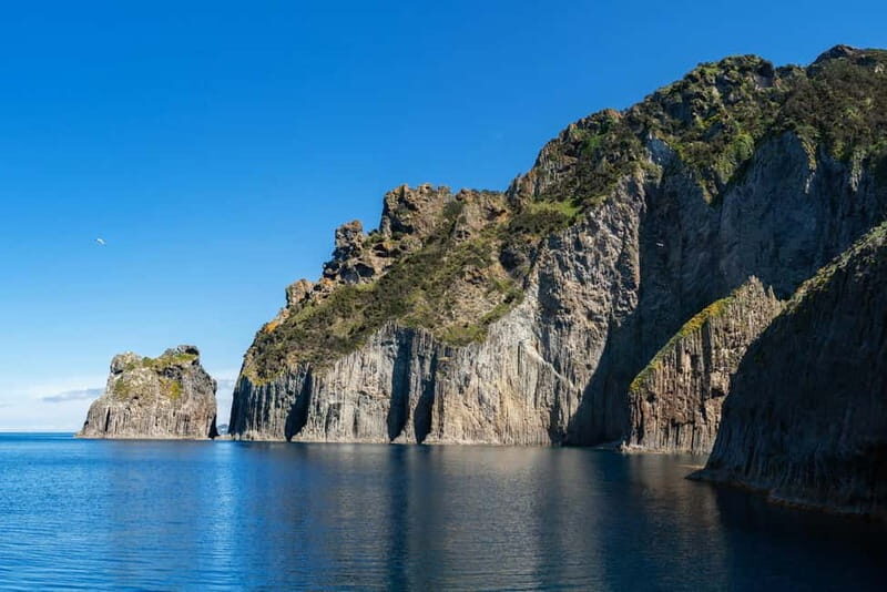 Ponza: Palmarola & Ponza Island Cruise With Swimming & Lunch - Overview of the Ponza Island Cruise