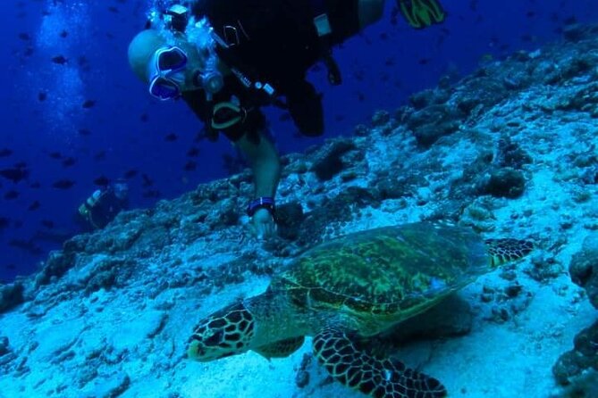 Pool Scuba Lesson and Shore Dive in Maui - Activity Duration and Start Time