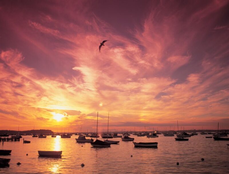 Poole Harbour Lights Cruise - Discover Brownsea Islands Castle