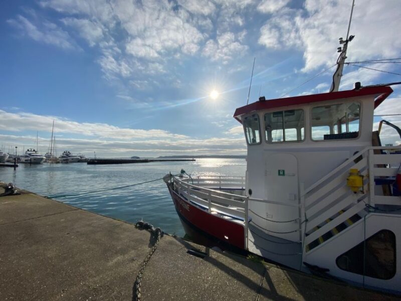 Poole Harbour Lights Cruise - Admire Sandbanks Luxurious Mansions