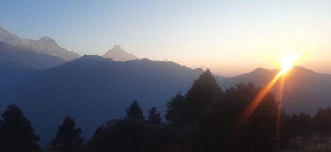 Poon Hill in Three Days: a Perfect Short Trek From Pokhara - Lush Rhododendron Forests