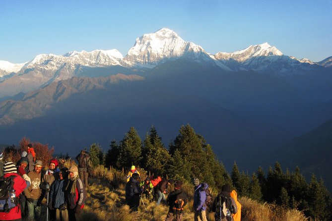 Poon Hill Trek - Exploring the Pokhara Region