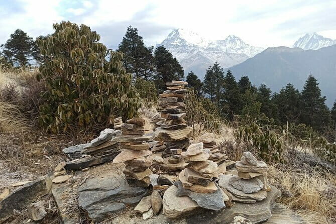 Poon Hill Trek from Pokhara 4 Days - The Trek Itinerary and What You Can Expect