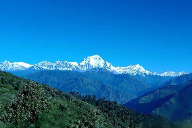Poon Hill Trek - Short & Easy Trek in the Himalayas - Itinerary and Inclusions