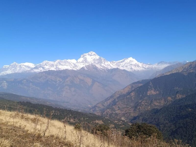 Poon Hill Trekking 3 Days From Pokhara - Experience and Highlights