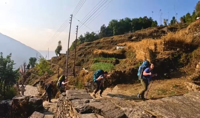 Poon Hill Trekking- 5 Days - Terrain and Difficulty Level