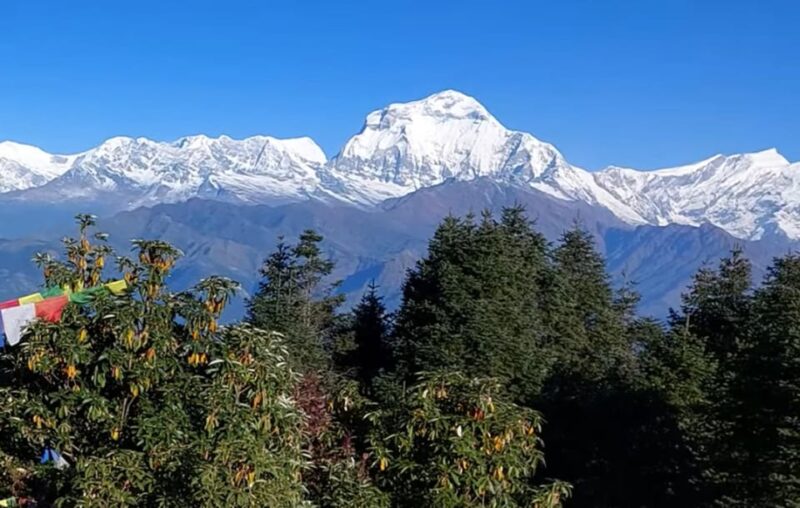 Poon Hill Trekking- 5 Days - Inclusions and Services Provided