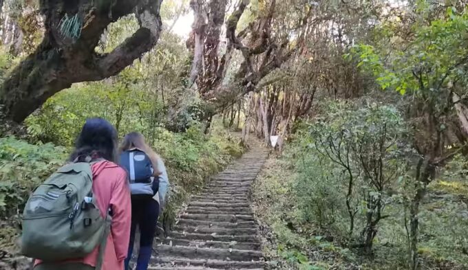 Poon Hill Trekking- 5 Days - Suitable and Unsuitable Participants
