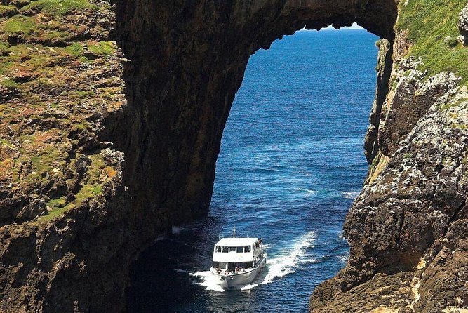 Poor Knights Small Group Tour & Cruise From Auckland - Snorkeling and Kayaking