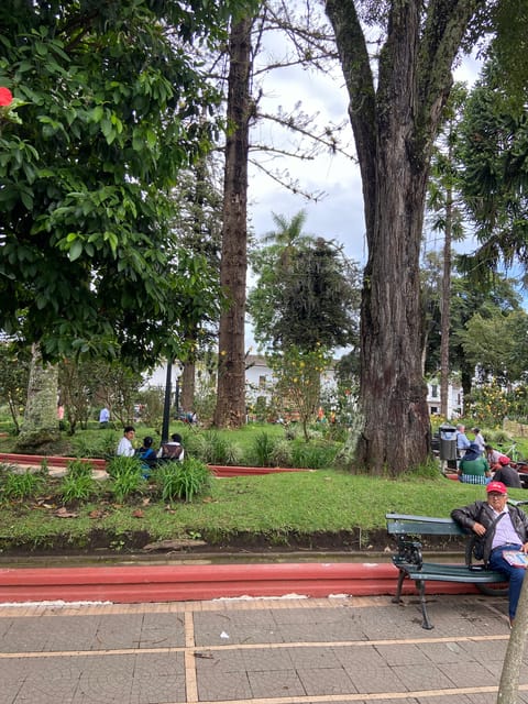 Popayán: Private Transfer to Cali - Key Points