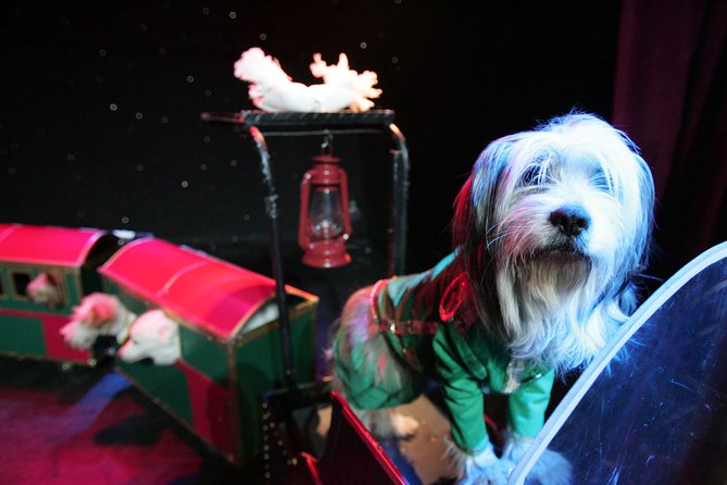 Popovich Comedy Pet Theater at Planet Hollywood Resort and Casino - Reviews and Highlights