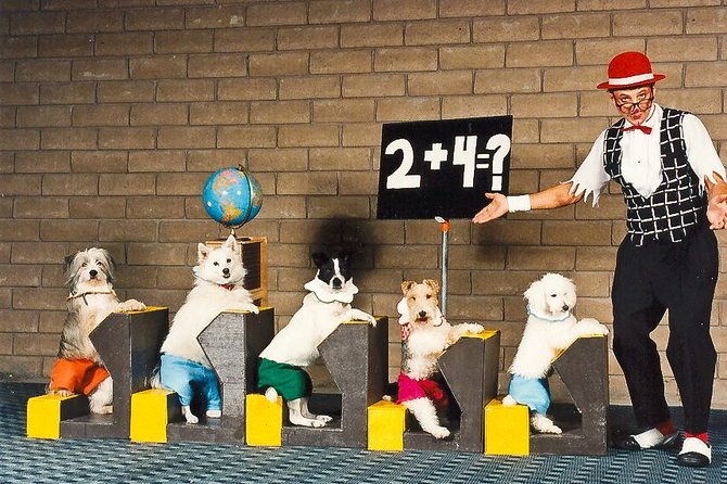 Popovich Comedy Pet Theater at Planet Hollywood Resort and Casino - Show Duration