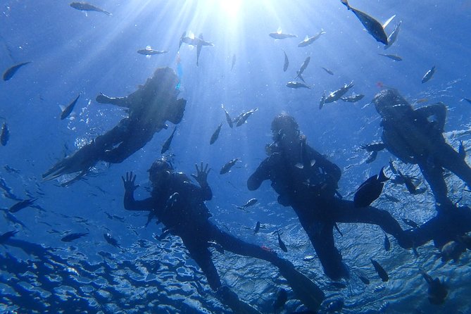 Popular Blue Cave Snorkel! [Okinawa Prefecture] Feeding & Photo Image Free! English, Chinese Guide Available! - Detailed Activity Information